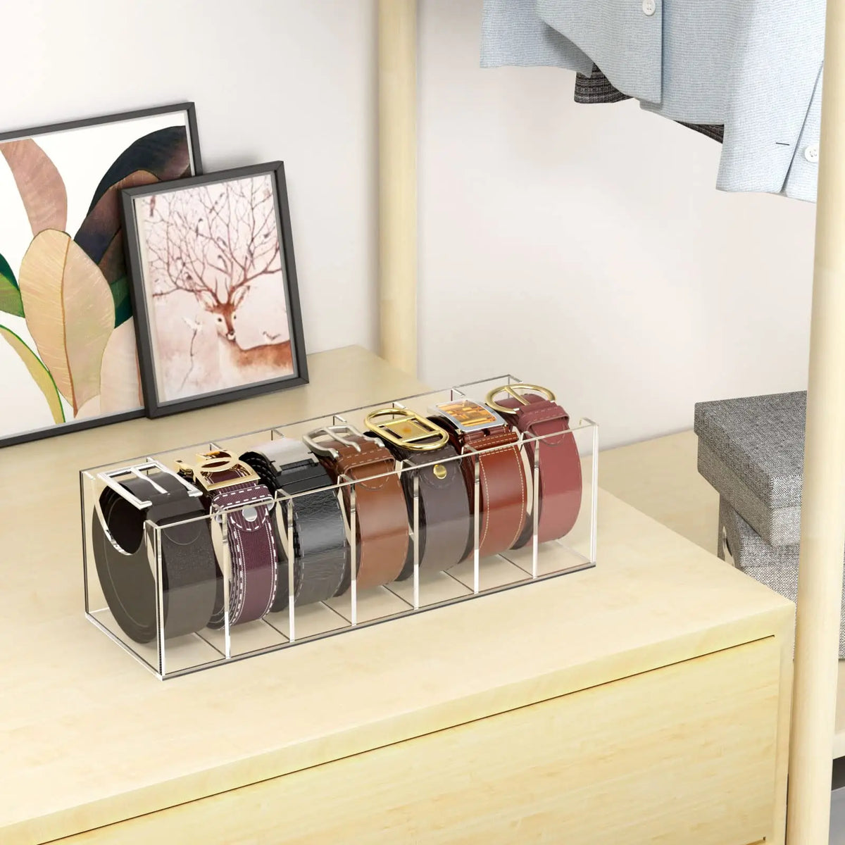 Clear 7-Compartment Belt and Accessory Organizer