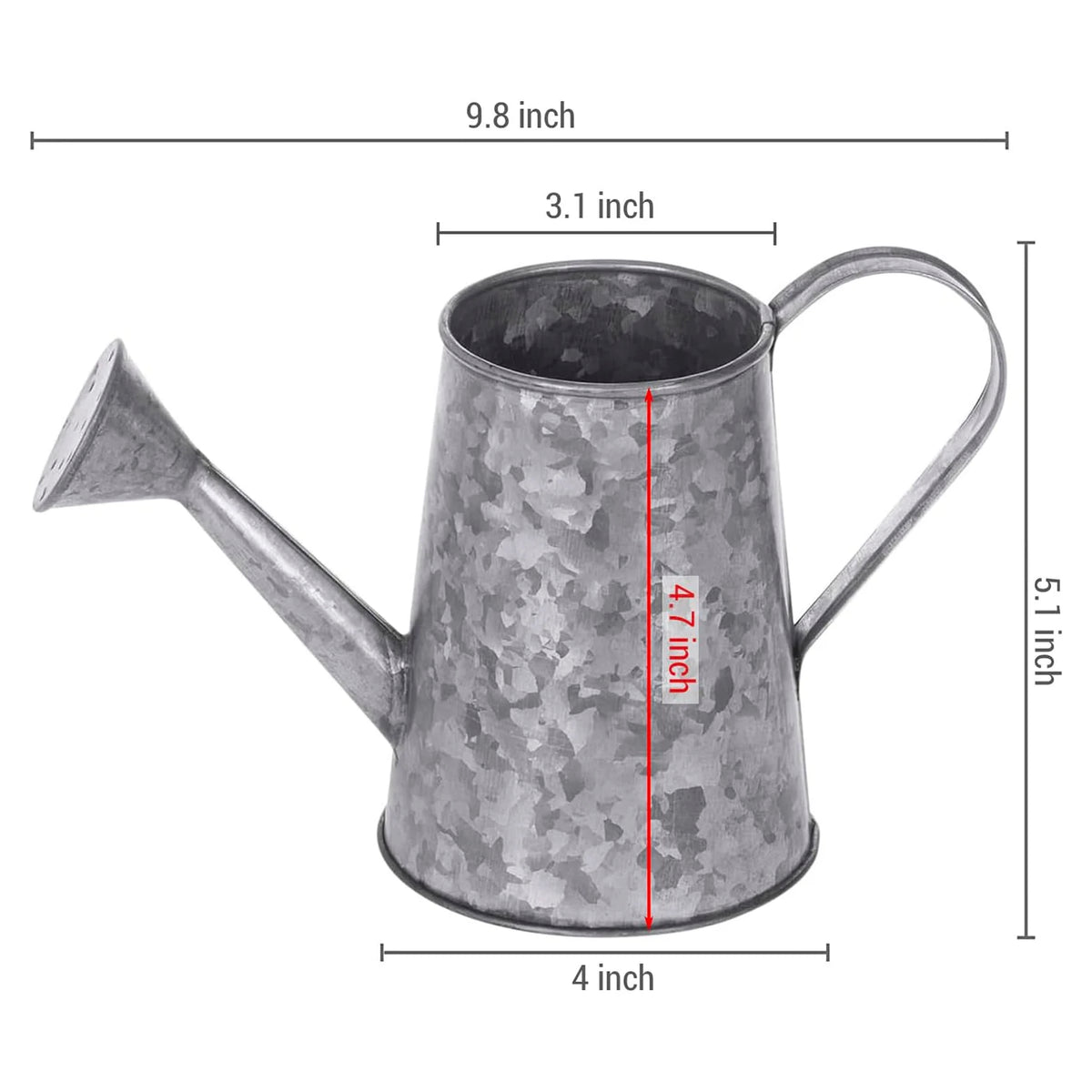 Rustic Galvanized Metal Flower Watering Can