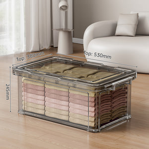 Large Clear Stackable Storage Box – A